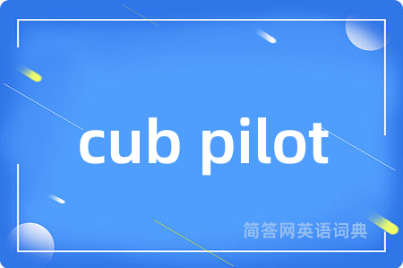 cub pilot