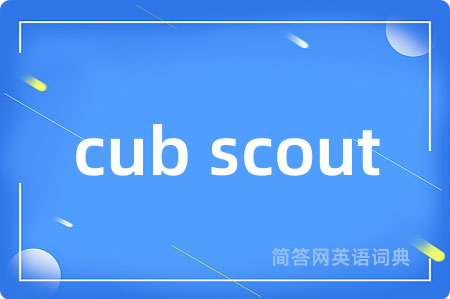 cub scout