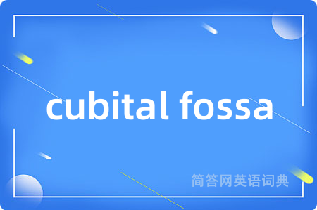 cubital fossa