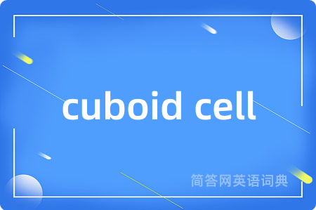 cuboid cell