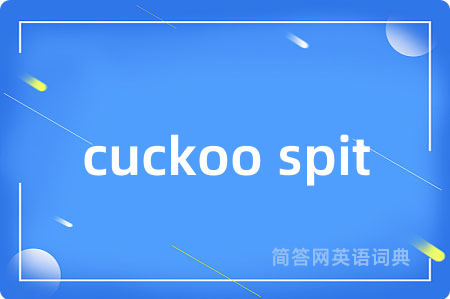 cuckoo spit