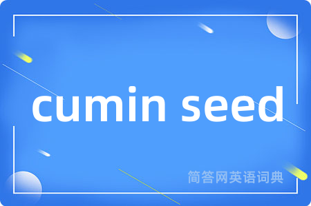 cumin seed