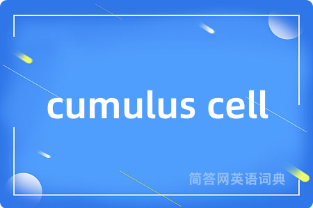cumulus cell