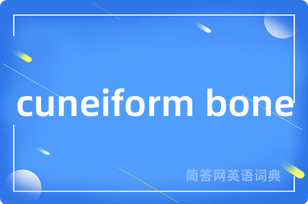 cuneiform bone