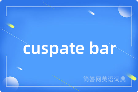 cuspate bar