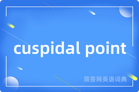 cuspidal point