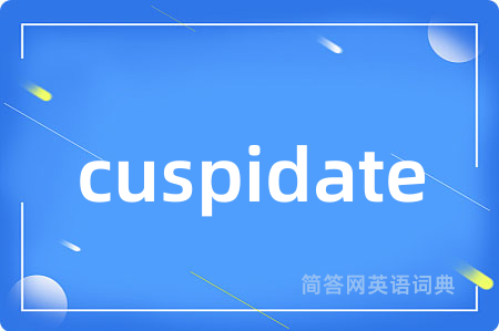 cuspidate