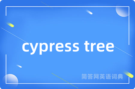 cypress tree