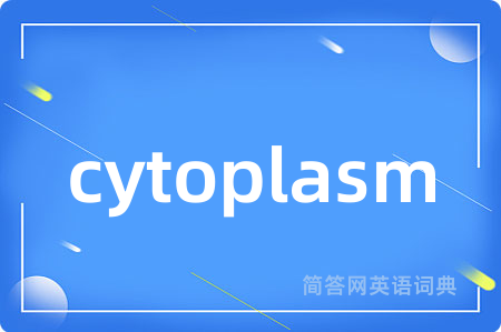 cytoplasm