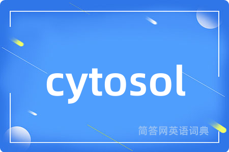 cytosol