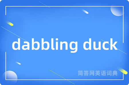 dabbling duck