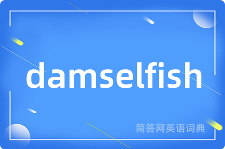 damselfish