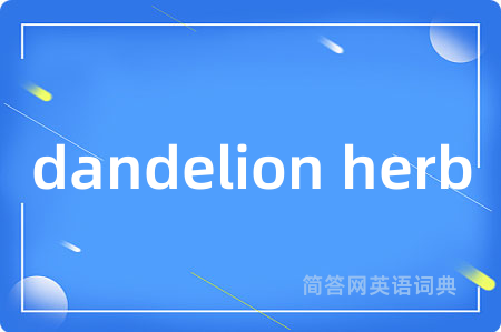 dandelion herb