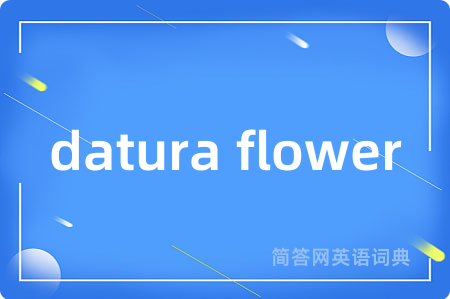 datura flower