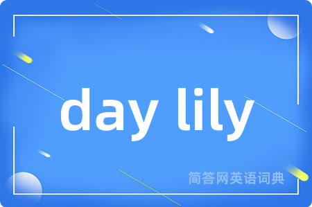 day lily是什么意思,day lily的中文翻译 day lily
