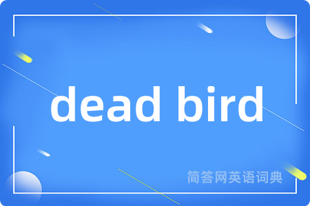 dead bird