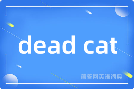 dead cat