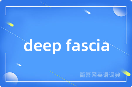 deep fascia是什么意思,deep fascia的中文翻译 deep fascia