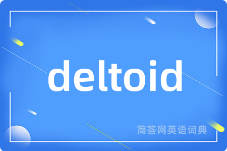 deltoid是什么意思,deltoid的中文翻译 deltoid