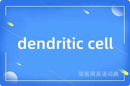 dendritic cell是什么意思,dendritic cell的中文翻译 dendritic cell