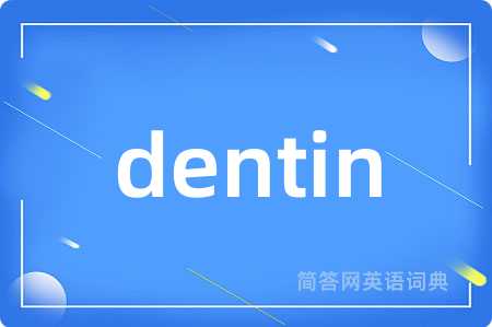 dentin