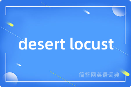 desert locust