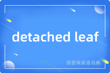 detached leaf