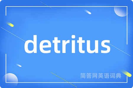detritus是什么意思,detritus的中文翻译 detritus
