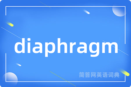 diaphragm