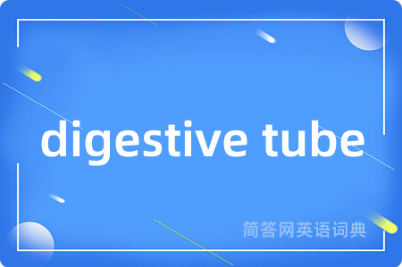 digestive tube是什么意思,digestive tube的中文翻译 digestive tube