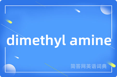 dimethyl amine