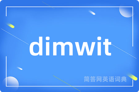 dimwit