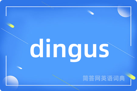 dingus