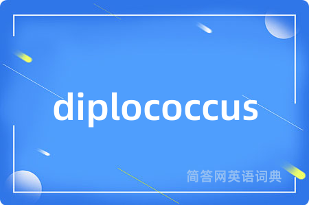 diplococcus