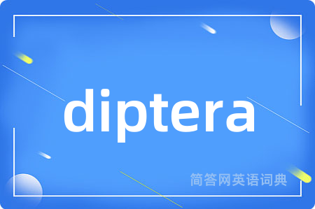 diptera是什么意思,diptera的中文翻译 diptera