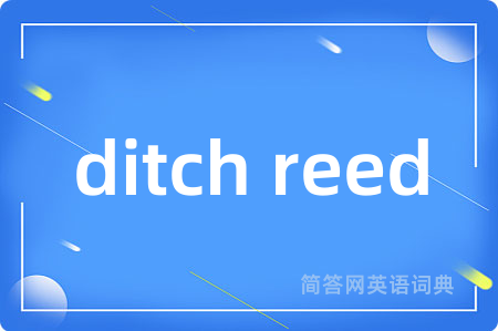 ditch reed