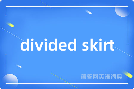 divided skirt