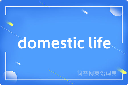 domestic life是什么意思,domestic life的中文翻译 domestic life