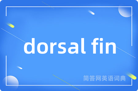 dorsal fin