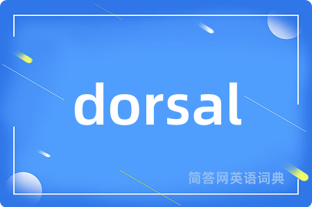 dorsal