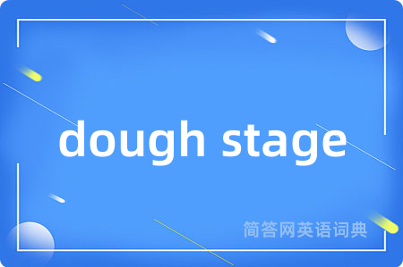 dough stage
