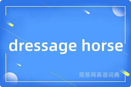 dressage horse
