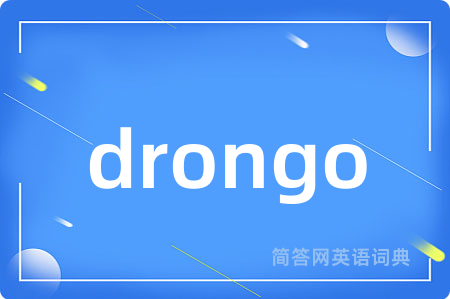 drongo