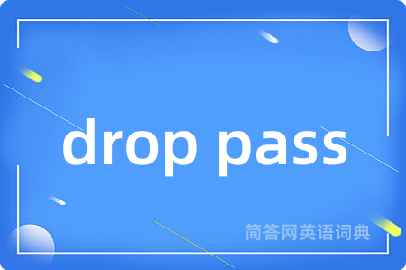 drop pass是什么意思,drop pass的中文翻译 drop pass