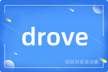 drove是什么意思,drove的中文翻译 drove