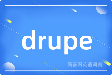 drupe