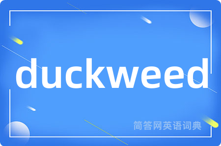 duckweed是什么意思,duckweed的中文翻译 duckweed