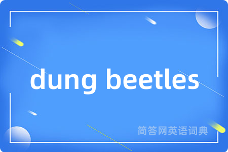 dung beetles