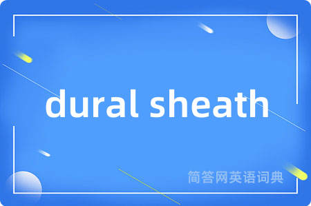 dural sheath
