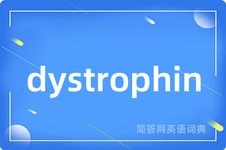 dystrophin